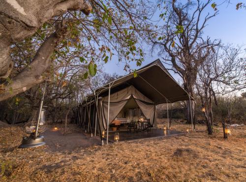 Guest tent at Machaba Camp in the Okavango Delta - Botswana