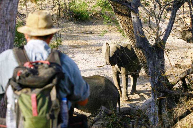 Leon Varley in the African bush on a walking safari