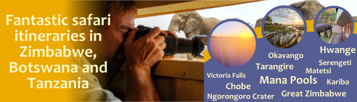 Safari itineraries to Zimbabwe, Botswana and Tanzania