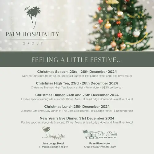 Just Leo plays live music at the River Brewing Co in Victoria Falls, Zimbabwe