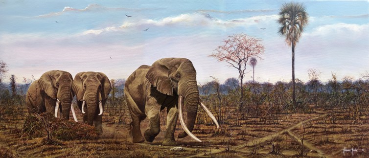 Tichaona Ncube's LAST OF THE TUSKERS, oil on canvas, 50x120xm - Victoria Falls artist in Zimbabwe