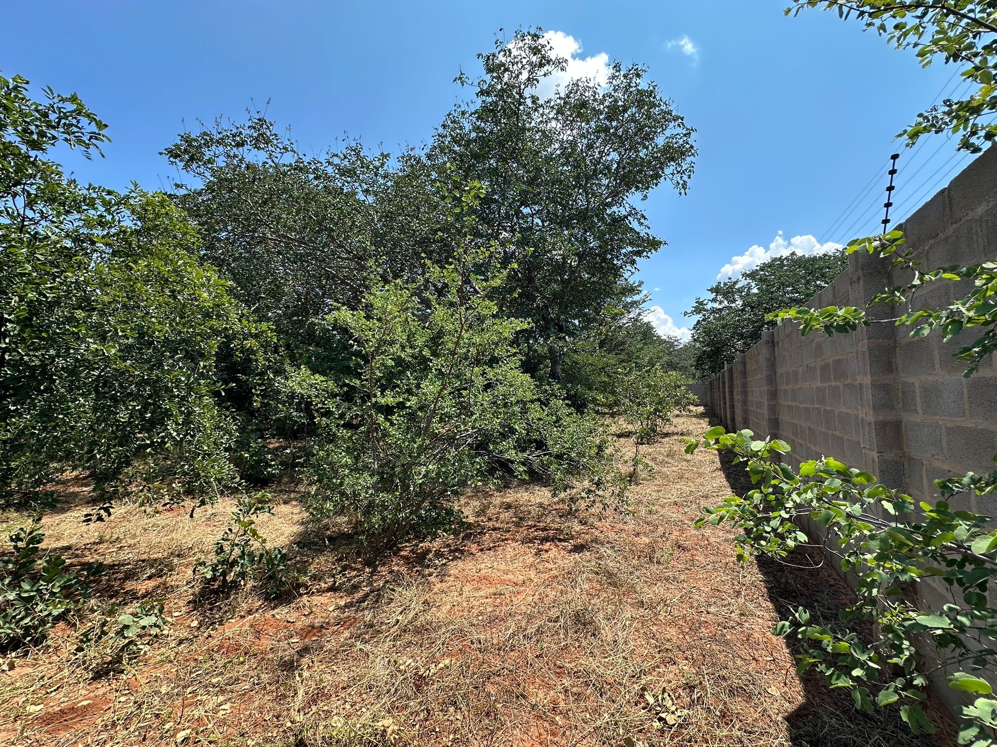 Luxury Villa for Sale Victoria Falls