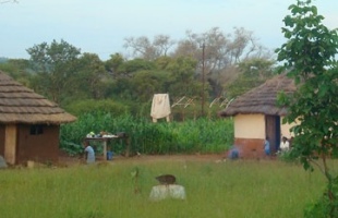 A Meet The People tour of a local village near Victoria Falls - Zimbabwe
