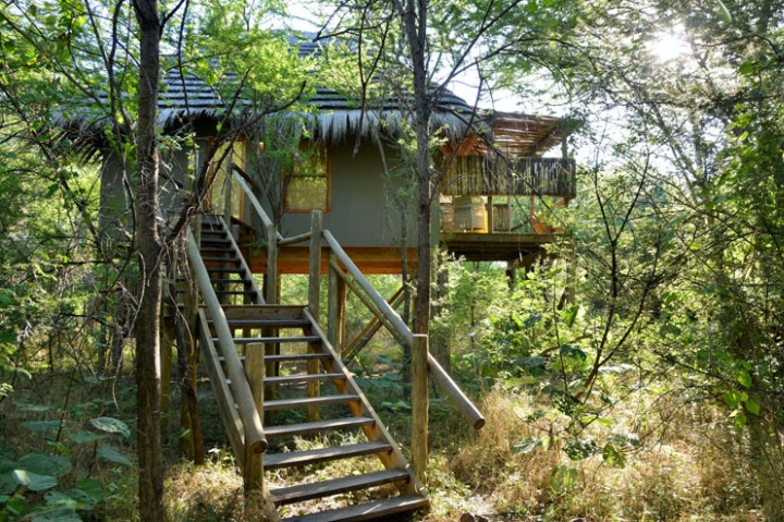Treetop rooms at Bakwena