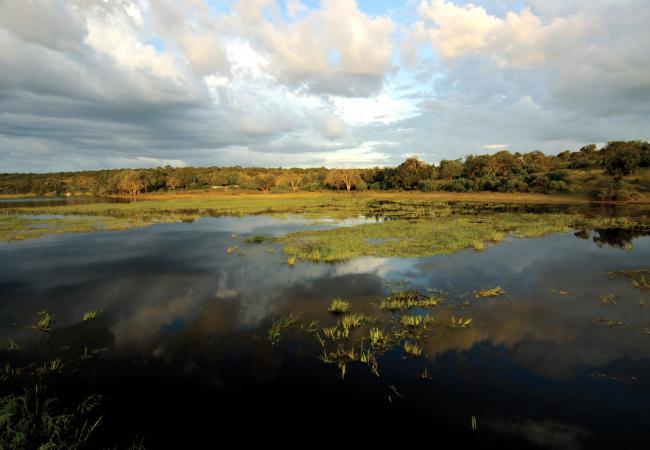 Explore Chobe