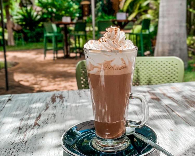 Wonderful food at Brooks Cafe in Victoria Falls - Elephant's Walk Shopping Mall