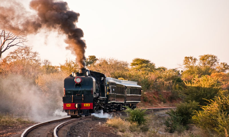 Bushtracks Express Steam Train