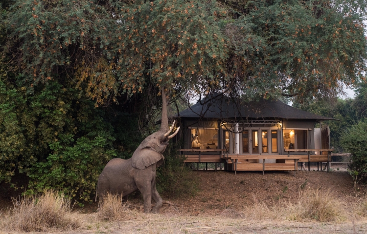 Luxury tented camp in the wilderness