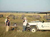 Visitors on a Game drive in Chobe Game drive in Chobe