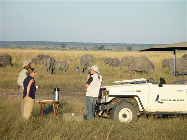 Tea and coffee during a morning game drive in Chobe National Park, Botswana
