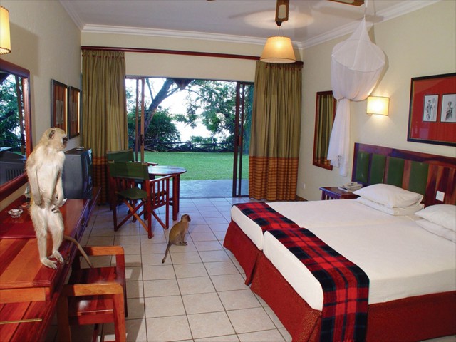 Guests sometimes come into the rooms at Chobe Safari Lodge - Botswana