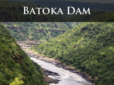 What will damming the Batoka Gorge 54kms from the Victoria Falls do to the environment? Have your say.
