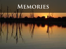 Stories by Clive Goodrich and others from their Victoria Falls memories