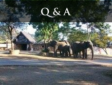 Victoria Falls Questions & Answers