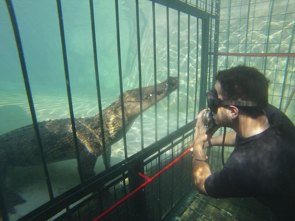 Croc cage diving Victoria Falls, Zimbabwe