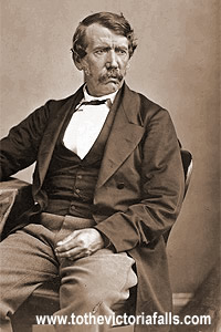 Dr David Livingstone