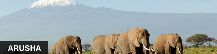 Destination Arusha, Tanzania