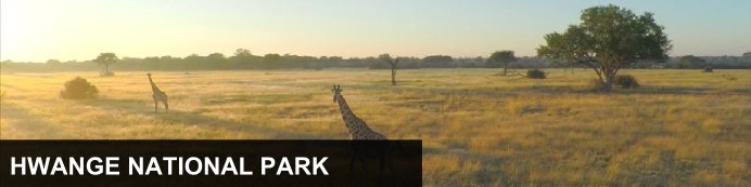 Destination Hwange National Park, Zimbabwe