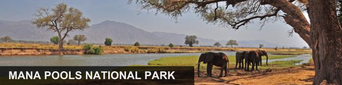 Destination Mana Pools National Park, Zimbabwe