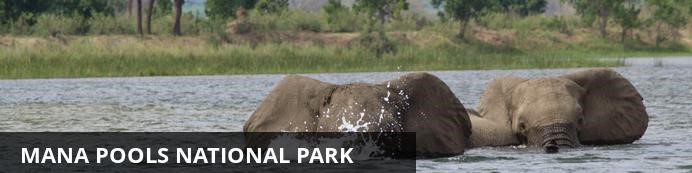Destination Mana Pools National Park, Zimbabwe