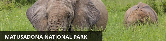 Destination Matusadona National Park, Zimbabwe