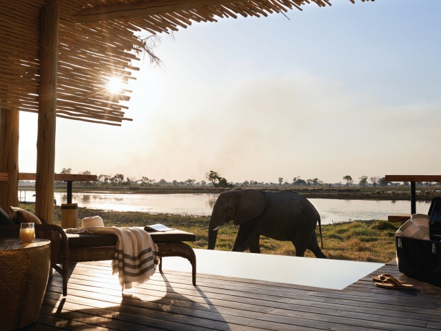 Elephant in front of the lodge Elephant in front of the lodge at Eagle Island Lodge in the Okavango Delta - Botswana