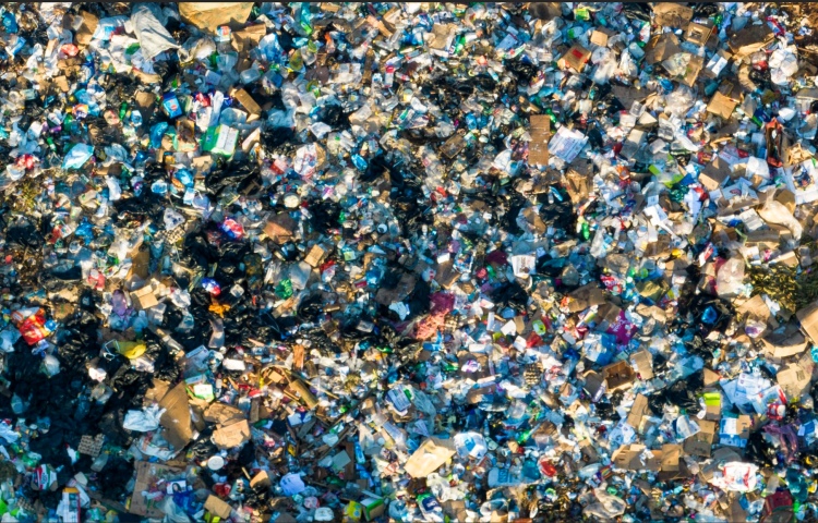 Ele Collection collects plastic waste in the wildlife area of Victoria Falls