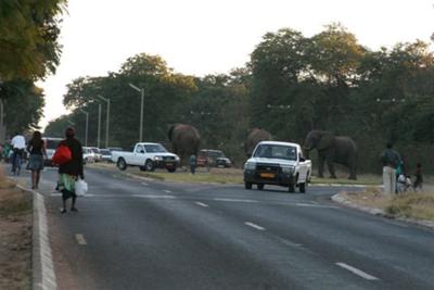 Where else in the world would you see this?