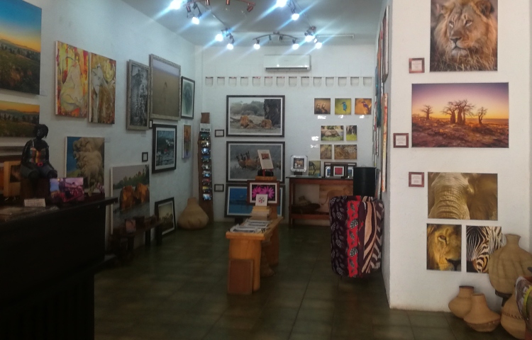 Local art at Wild Visions in Victoria Falls - Elephant's Walk Shopping Mall