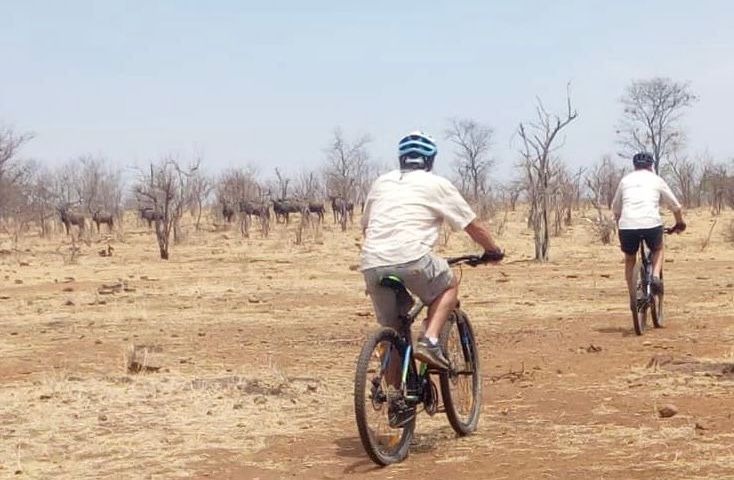Riding through Victoria Falls wilderness where you might encounter wild animals