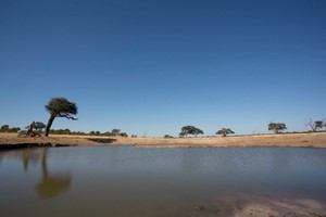 Manga 1 Pan looking full and enticing