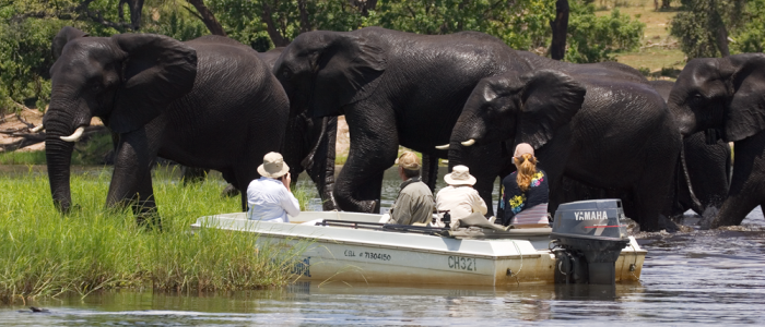 Fantastic wildlife sightings