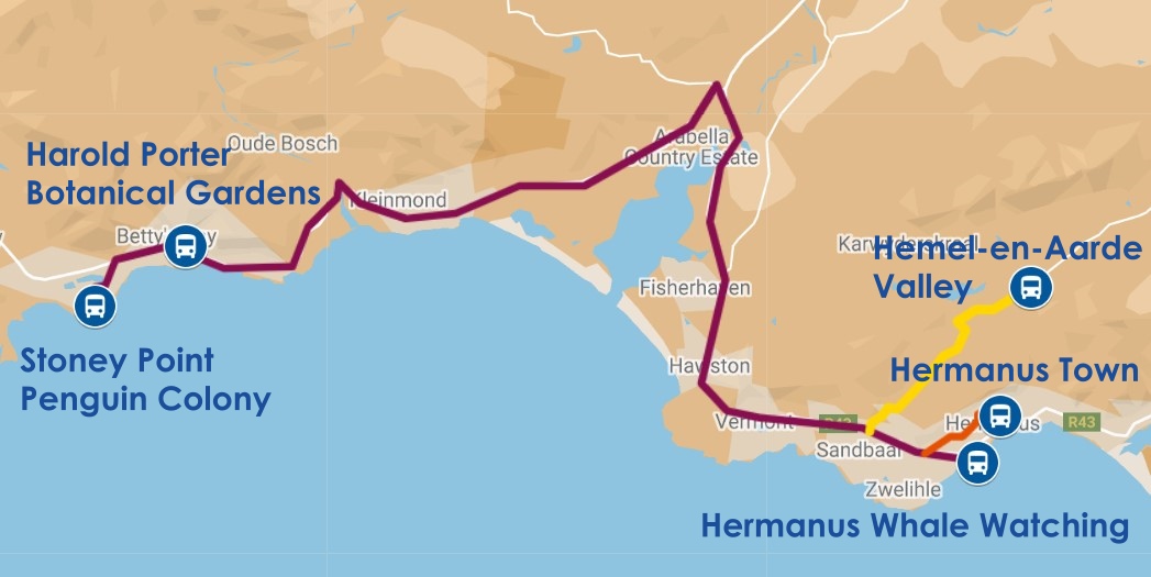 Heavenly Hermanus Tour from Cape Town, South Africa