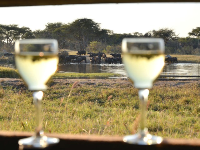 Drinks at the underground hide