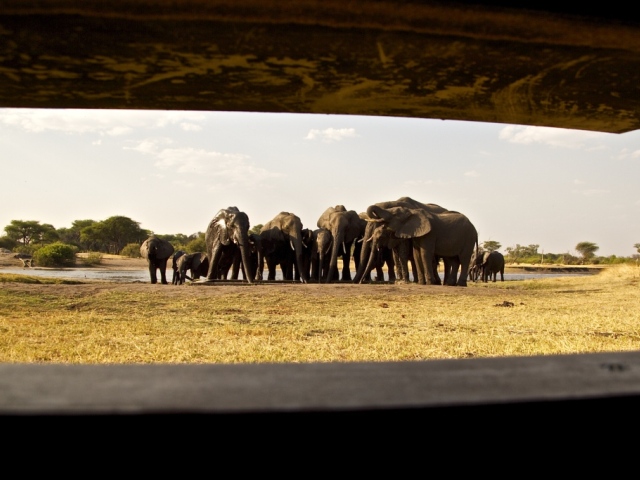 The Hide - Hwange National Park The underground hide at The Hide Safari Camp, Hwange National Park, Zimbabwe
