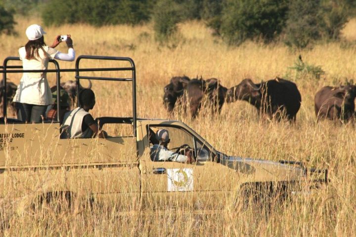 Game drive with Hwange Safari Lodge