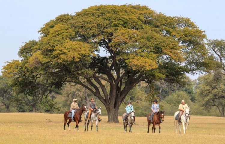 Horseback safaris in Hwange National Park, Zimbabwe, from Bomani and Camelthorn lodges