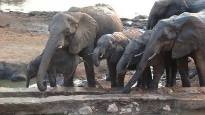 Pubs Open for the big boys