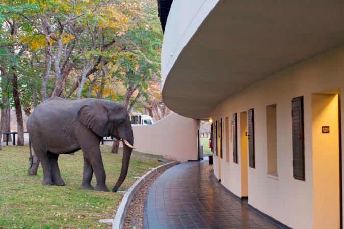 A visitor outside the rooms