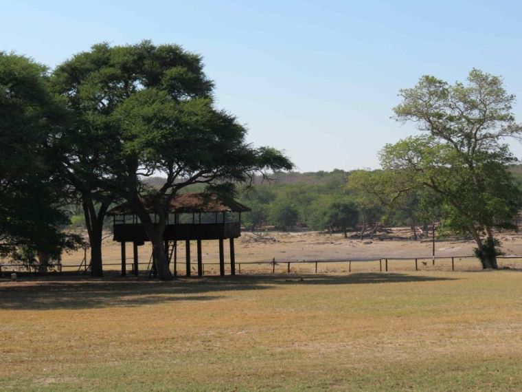 The elevated platform faces a waterhole