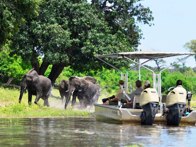 Ichingo Chobe River Lodge - Chobe River, Botswana, Namibia
