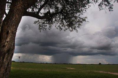 Credit - facebook.com/FriendsOfHwange