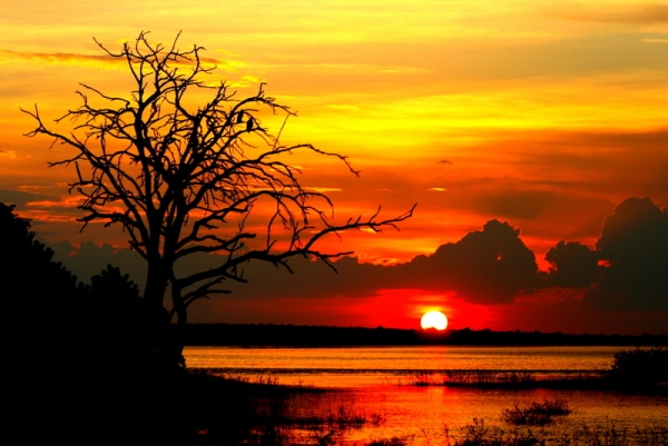 Sunset over the Chobe River