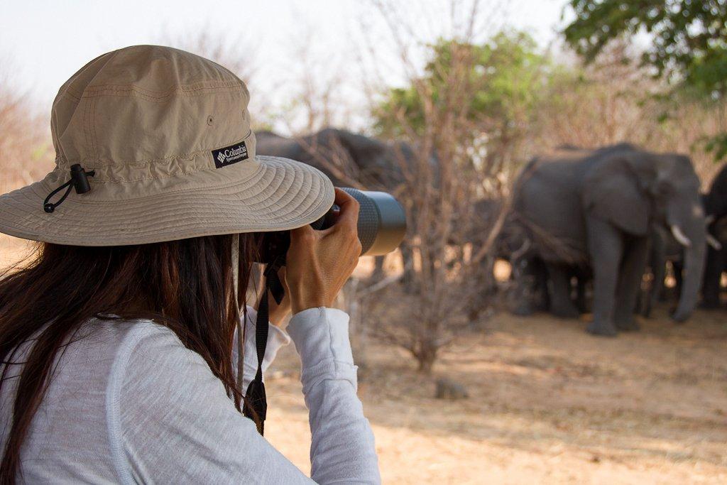 Amazing game viewing in Chobe National Park, Botswana