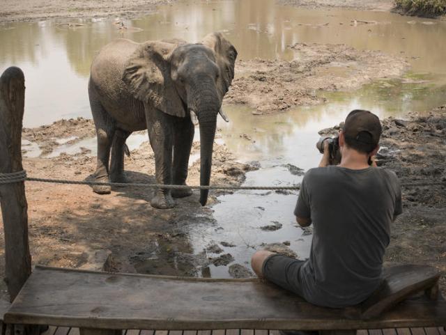 Kanga Camp wildlife Armchair safari at Kanga Camp