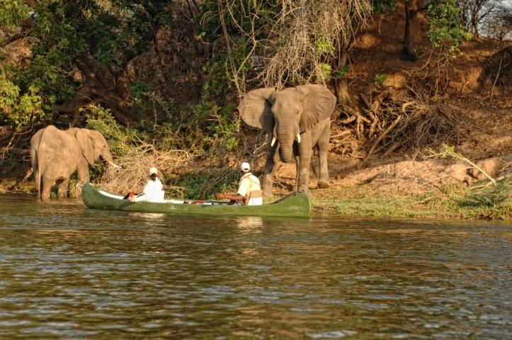 Canoeing on the Zambezi River