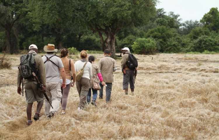 Bush walk in Mana Pools