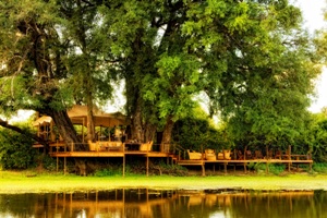 Front view of Kanga Camp - Mana Pools, Zimbabwe Front view of Kanga Camp - Mana Pools, Zimbabwe