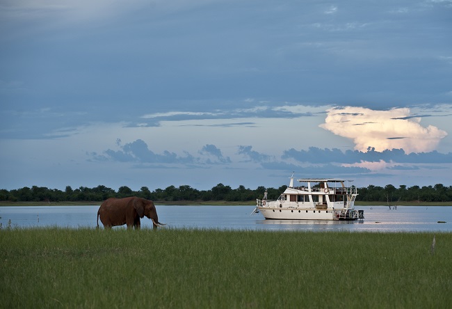 Wildlife in Kariba