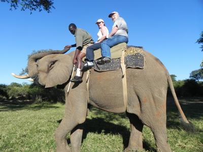 Elephant ride